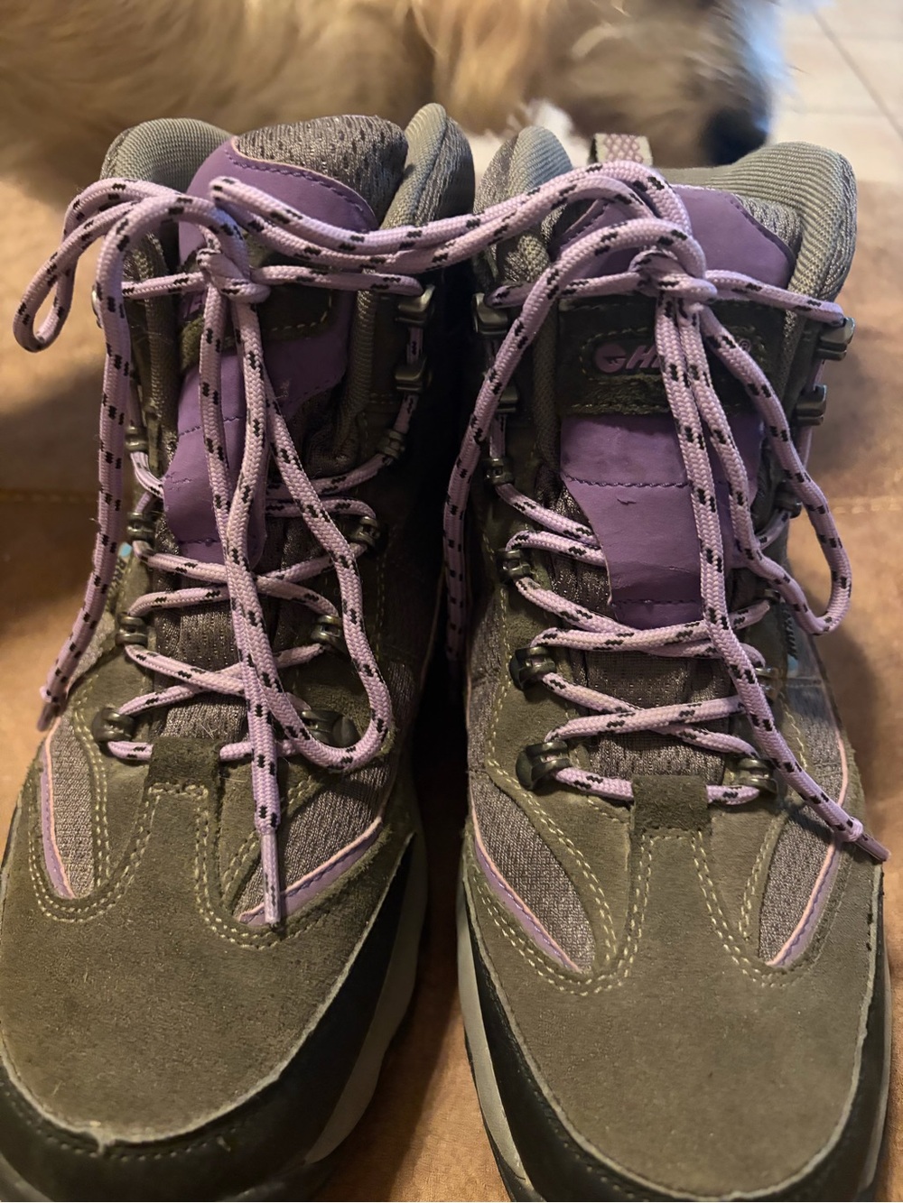 Hi-Tec Women's Purple & Gray Lace-Up Hiking Boots